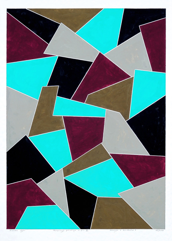 Remplissage périodique du plan VII 05 2017 50x70 Hommage à M. C. Escher 3