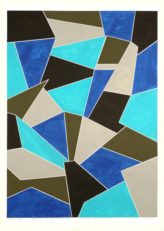 Remplissage périodique du plan XVIII Hommage à M. C. Escher 4 08 2019 50x70